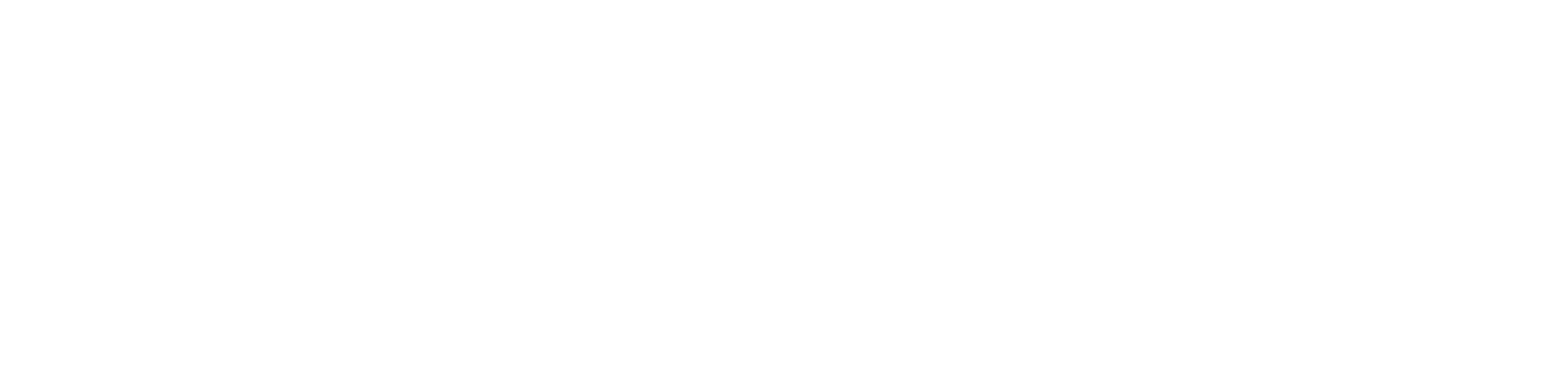 LITEZ logo litez-logo-white.png